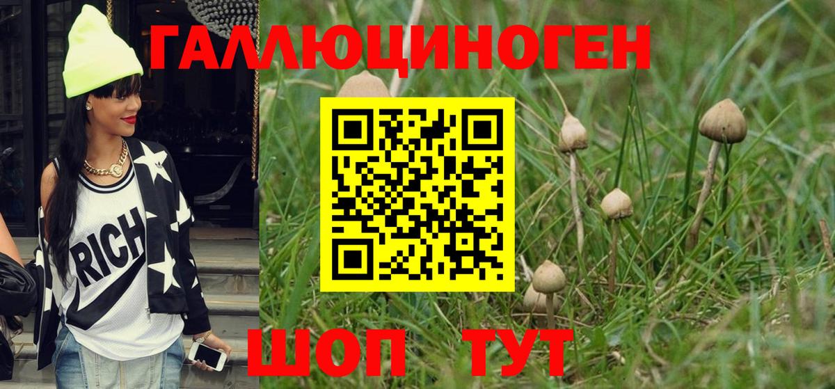Галлюциногенные грибы мухоморы Сибай